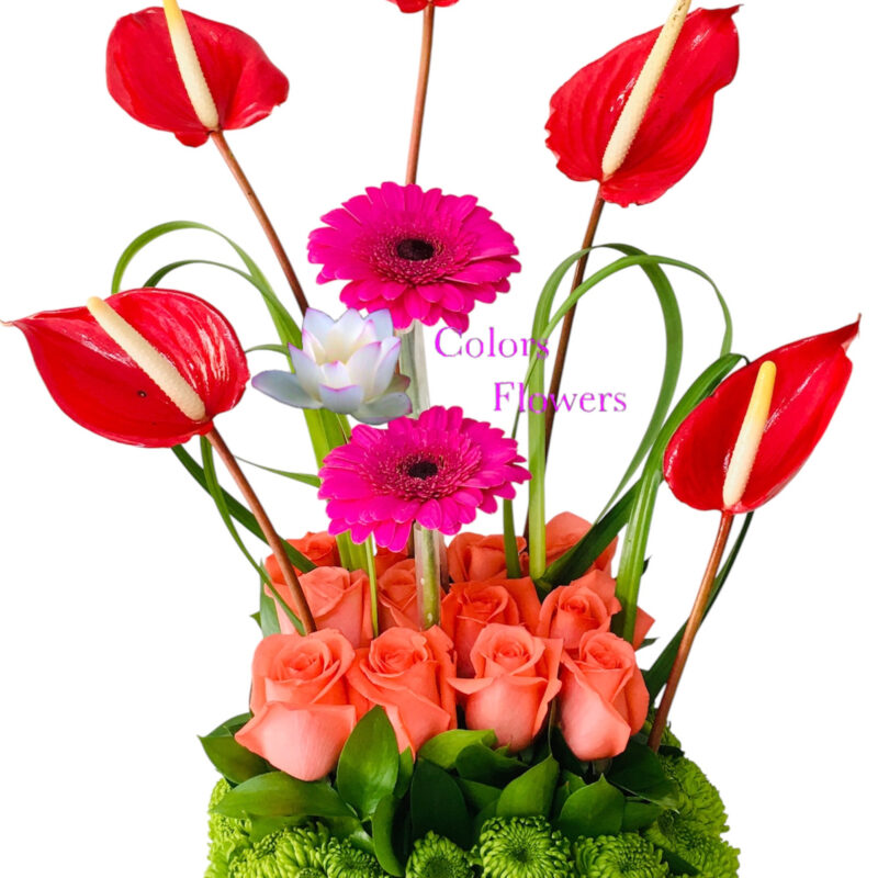 DE-046 Diseño Rosas Anturios Gérberas