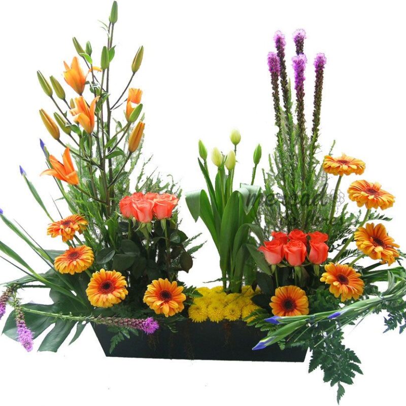 DE-058 Jardinera Liatrix Rosas Gérberas Lírios